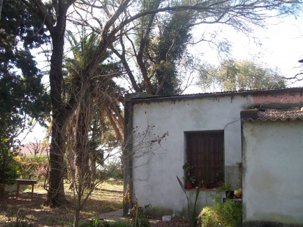 VENDO CASA QUINTA - Ref. 186