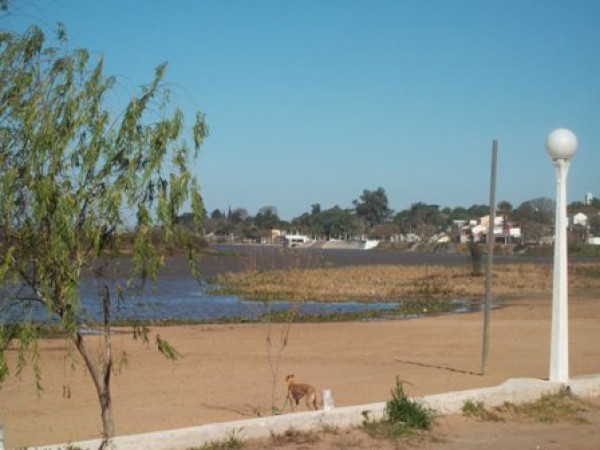 VENDO  DOS CABAÑAS FRENTE AL RIO -  CORONDA - REF: 206