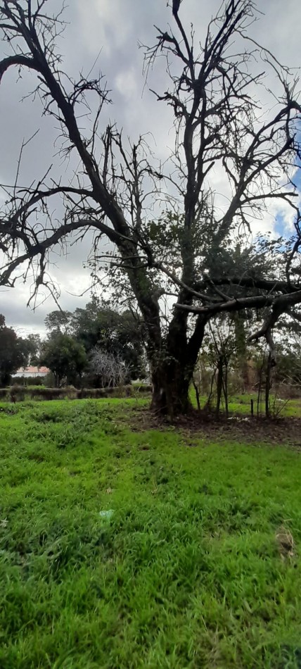 Ref. No 1308- Venta de dos Lotes en Larrechea