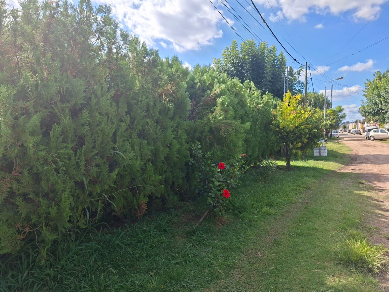 Oportunidad inversores!!!- Venta Casa con gran terreno