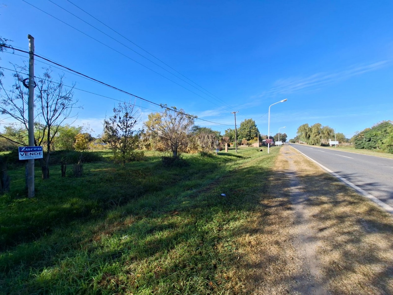 Venta de dos lotes sobre Ruta 11 -  1.100 m2 cada uno- Ref. 1379