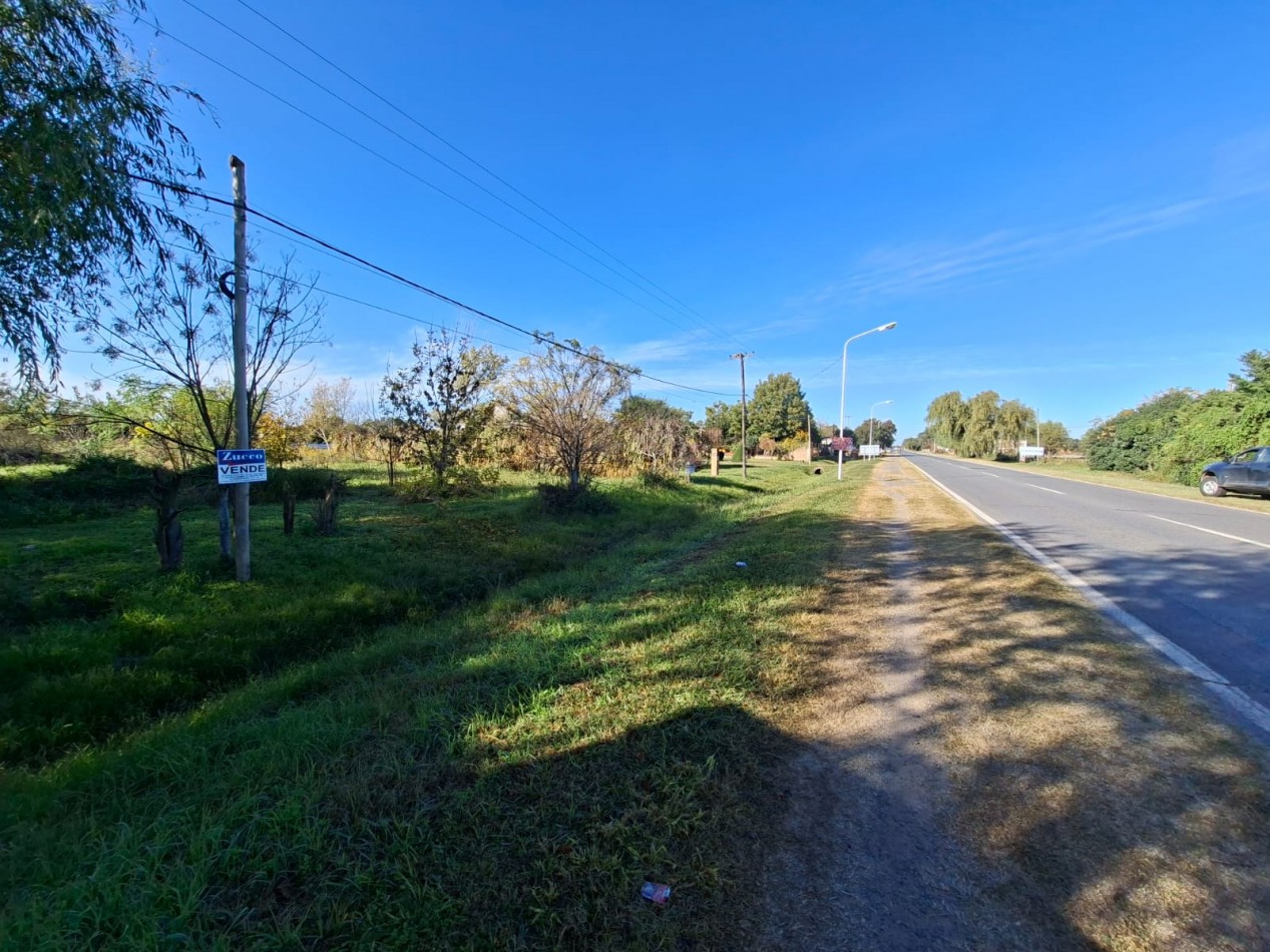 Venta de dos lotes sobre Ruta 11 -  1.100 m2 cada uno- Ref. 1379