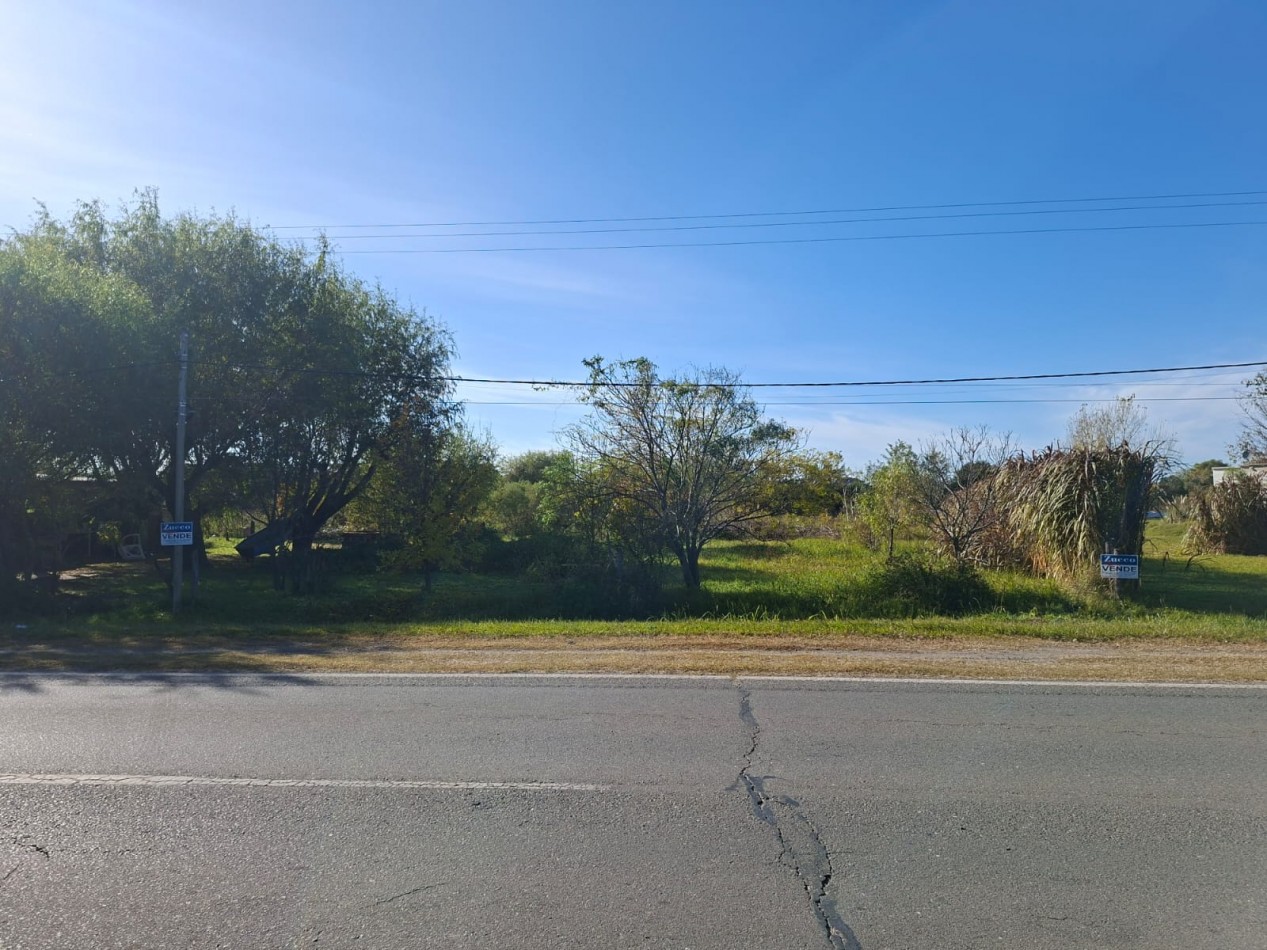 Venta de dos lotes sobre Ruta 11 -  1.100 m2 cada uno- Ref. 1379