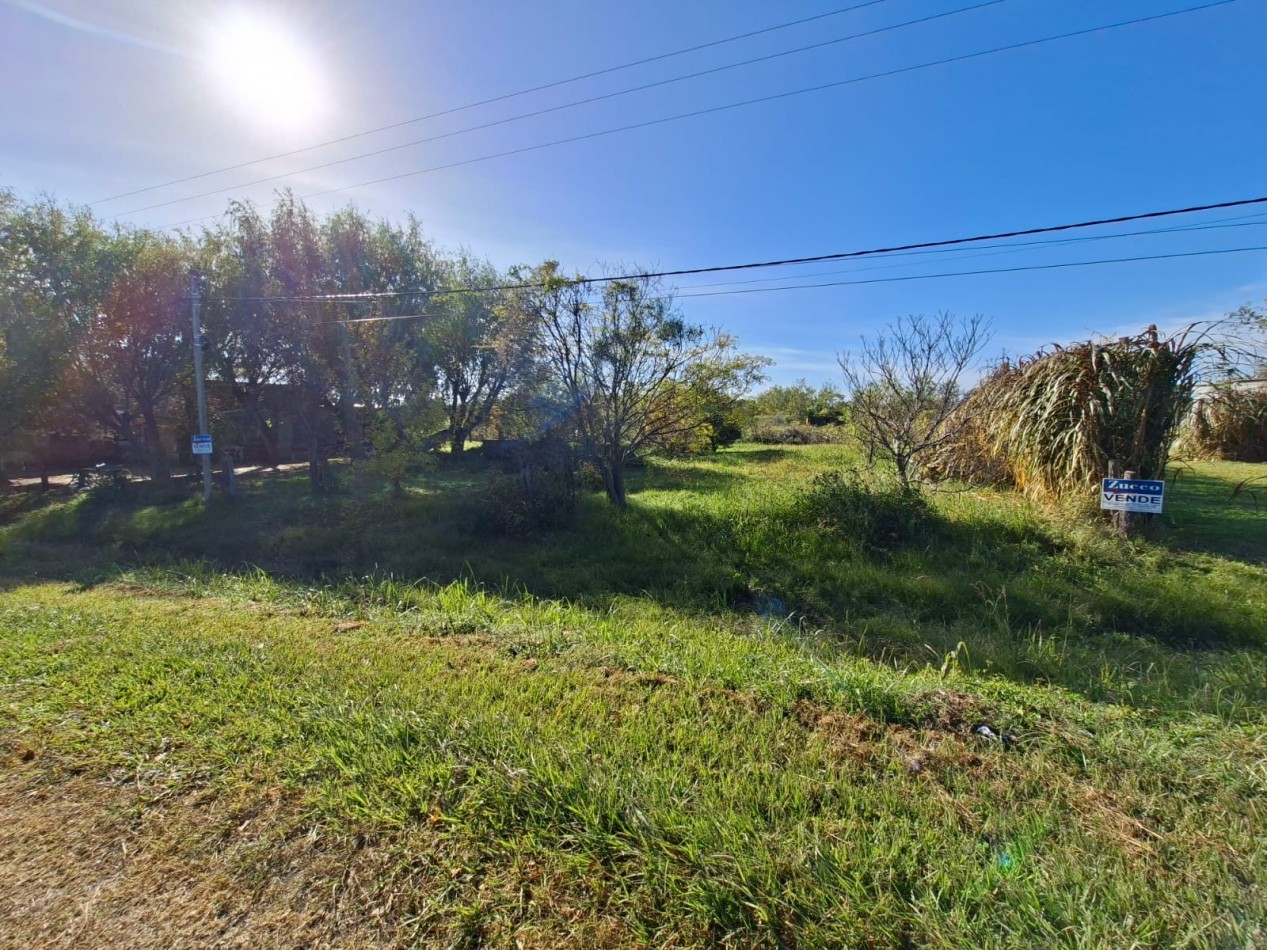 Venta de dos lotes sobre Ruta 11 -  1.100 m2 cada uno- Ref. 1379