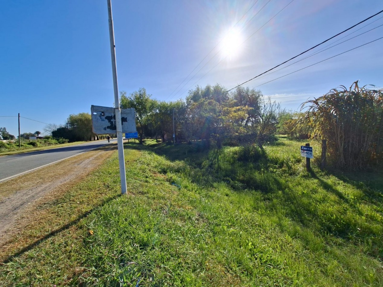 Venta de dos lotes sobre Ruta 11 -  1.100 m2 cada uno- Ref. 1379