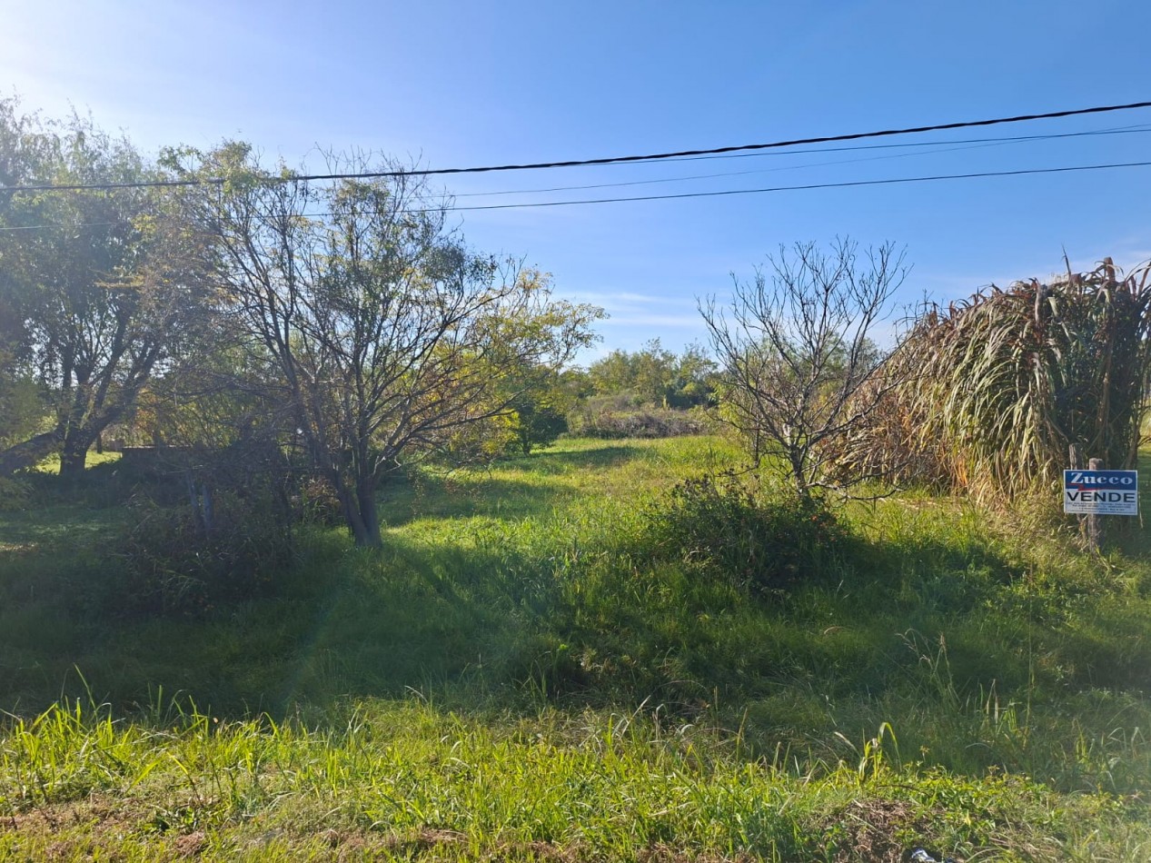 Venta de dos lotes sobre Ruta 11 -  1.100 m2 cada uno- Ref. 1379