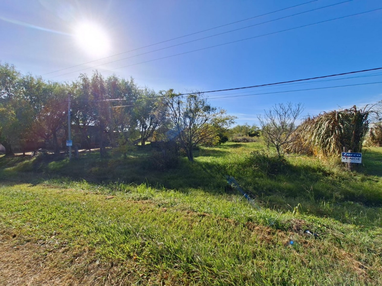 Venta de dos lotes sobre Ruta 11 -  1.100 m2 cada uno- Ref. 1379