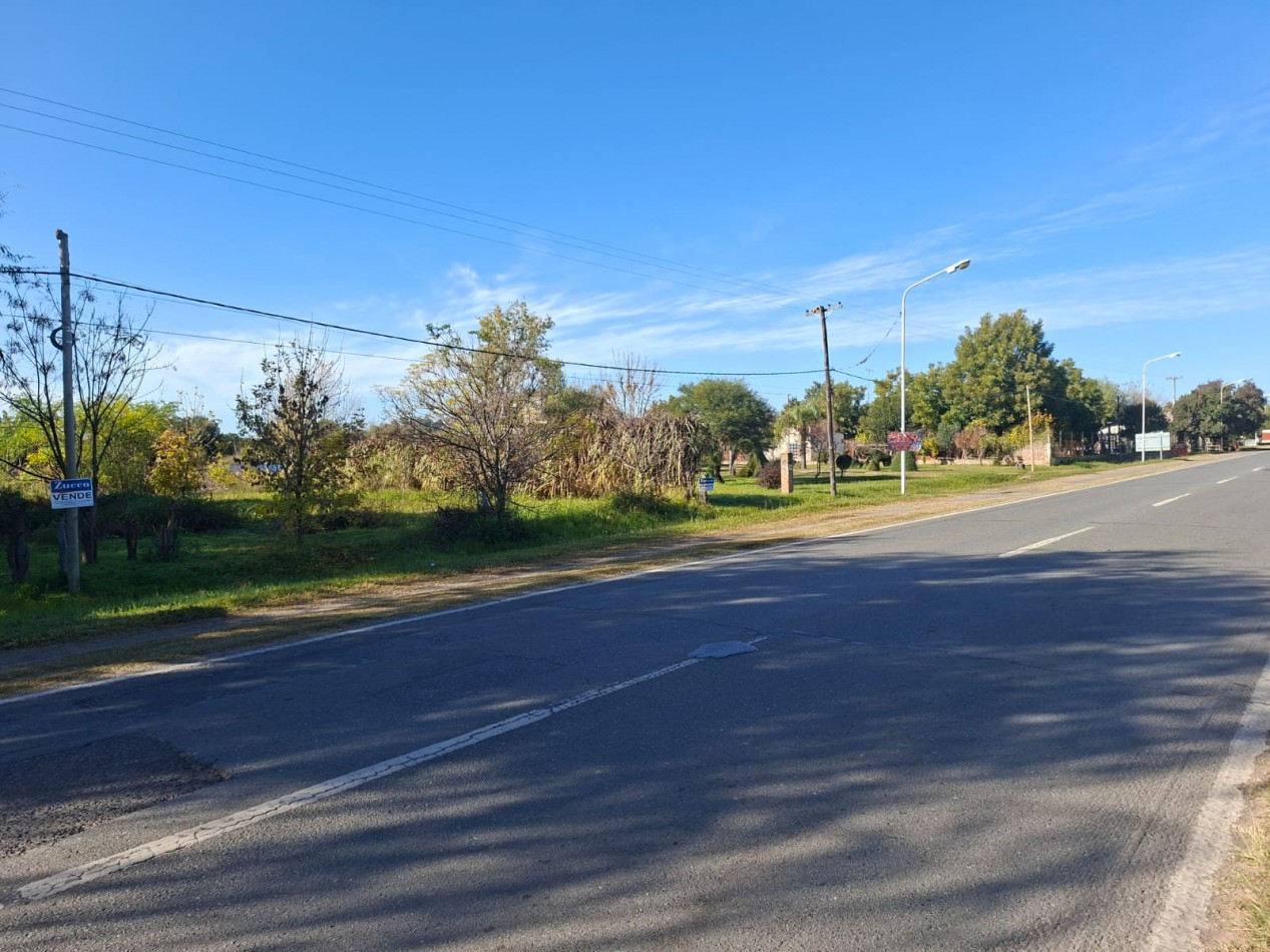 Venta de dos lotes sobre Ruta 11 -  1.100 m2 cada uno- Ref. 1379