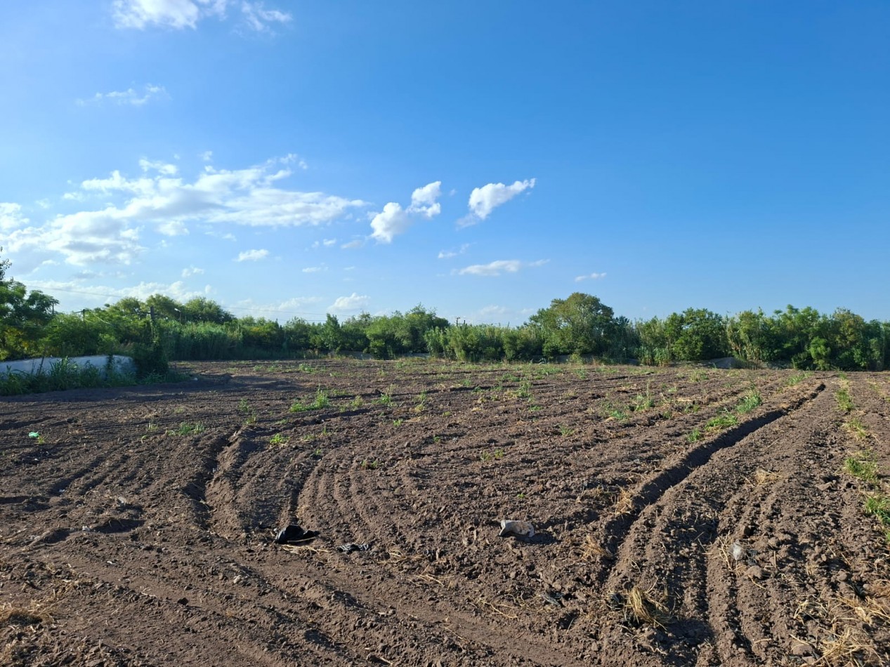 Ref. 1352 - Venta de lote 5,7 ha. con casa - Zona urbana Coronda.