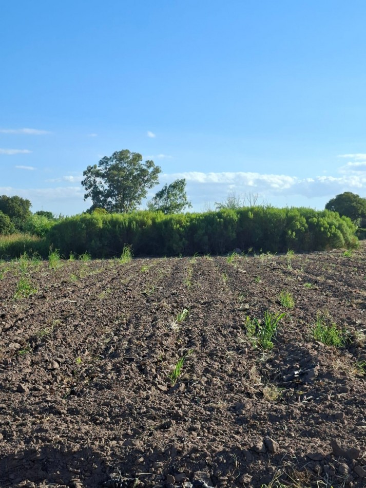 Venta de lote 330 m2 (10x33)- CORONDA- Ref 1380