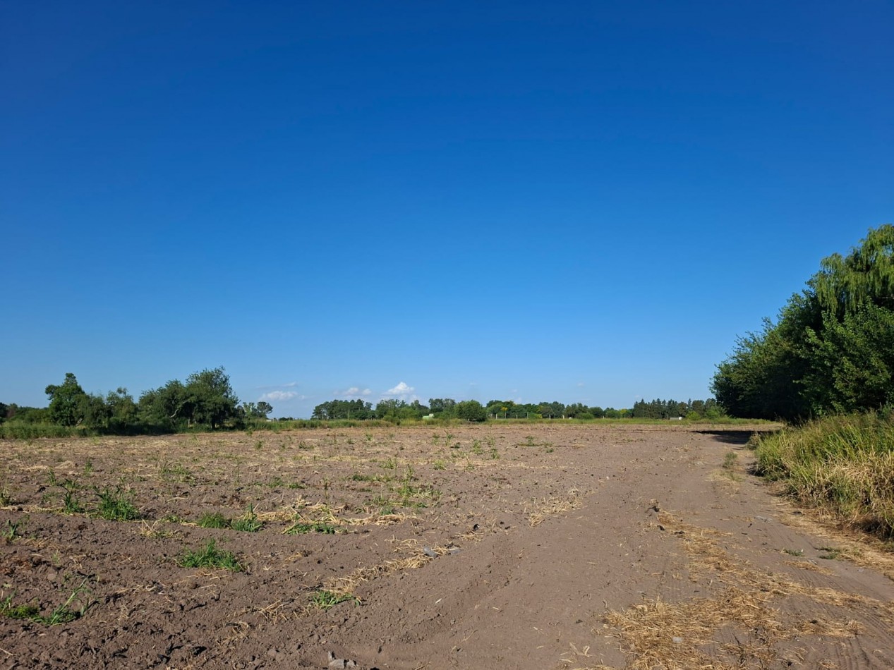 Venta de lote 330 m2 (10x33)- CORONDA- Ref 1380