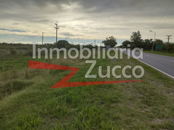 VENTA: CAMPO 23 HA. SOBRE ACCESO A AUTOPISTA EN CORONDA - Ref. 864