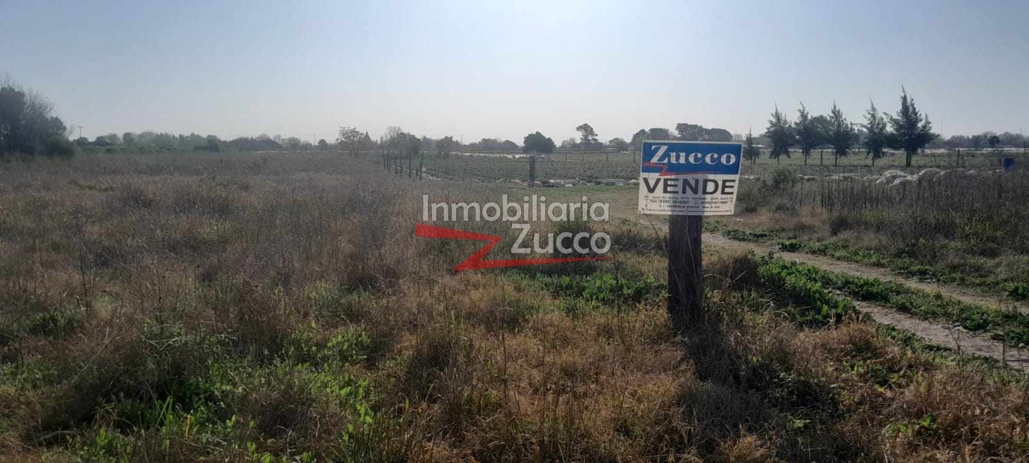 VENTA: 4,5 HA. DE TIERRA EN CORONDA - Ref. 1086