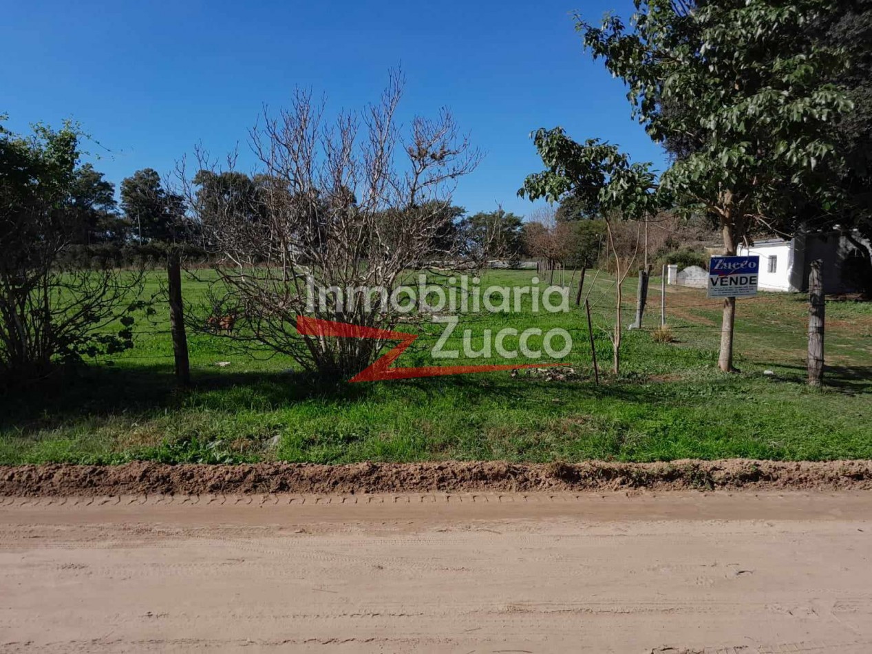 VENTA: 3,14 Ha. DE TIERRA CON CASA Y GALPON - Ref. 1071