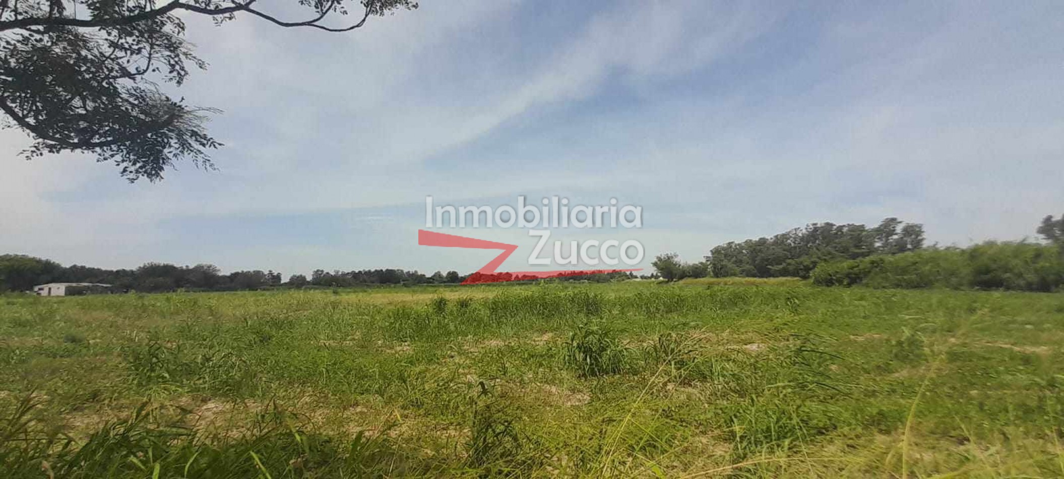 VENTA: LOTE DE 3 HA. EN CORONDA - Ref. 1146