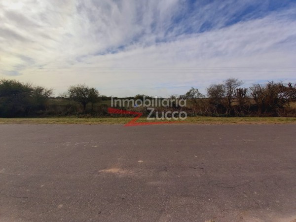 CAMPO 4,2 HA. EN VENTA EN CORONDA - Ref. 801