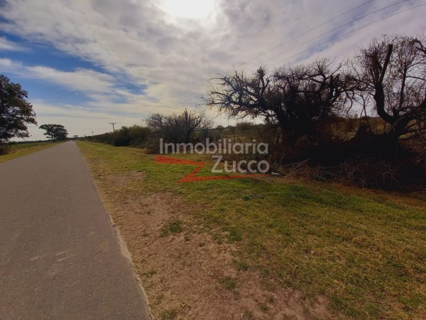 CAMPO 4,2 HA. EN VENTA EN CORONDA - Ref. 801