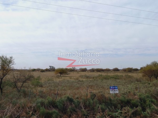 CAMPO 4,2 HA. EN VENTA EN CORONDA - Ref. 801