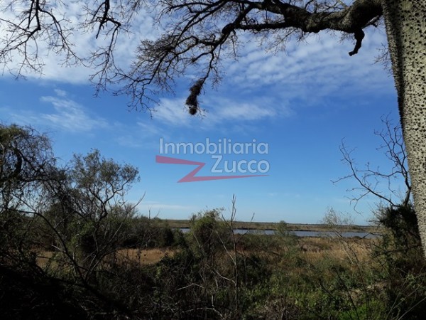 VENTA: 42 HA. DE QUINTA SOBRE EL RIO CORONDA - Ref. 409