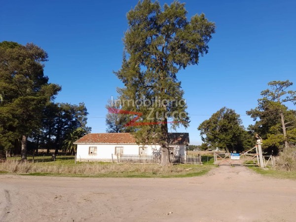 VENTA: 109 HA. SOBRE EL RIO CORONDA - DESVIO ARIJON - Ref. 931