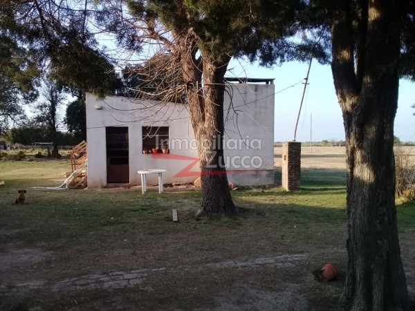 VENTA: CASA  + GALPON + LOCAL COMERCIAL EN LARRECHEA - Ref. 932