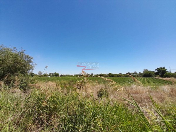 VENTA: LOTE EN CORONDA - Ref. 982