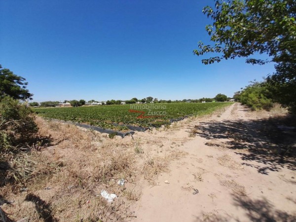 VENTA: LOTE EN CORONDA - Ref. 982