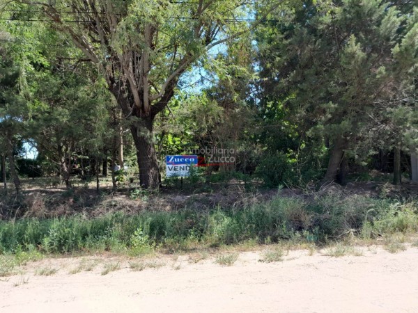 VENTA: DOS LOTES EN CORONDA - Ref. 987