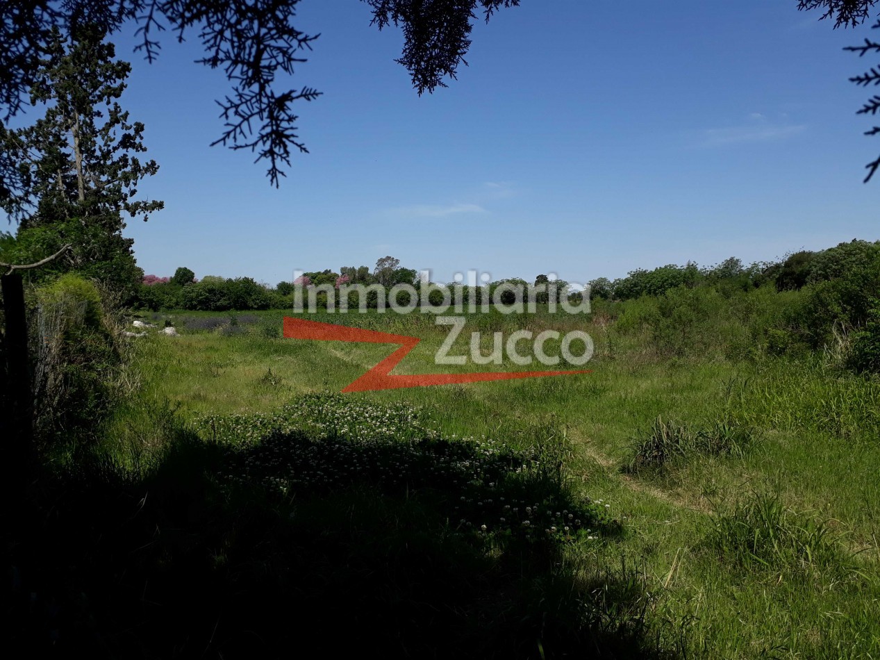 VENTA: CAMPO/QUINTA EN CORONDA - Ref. 431