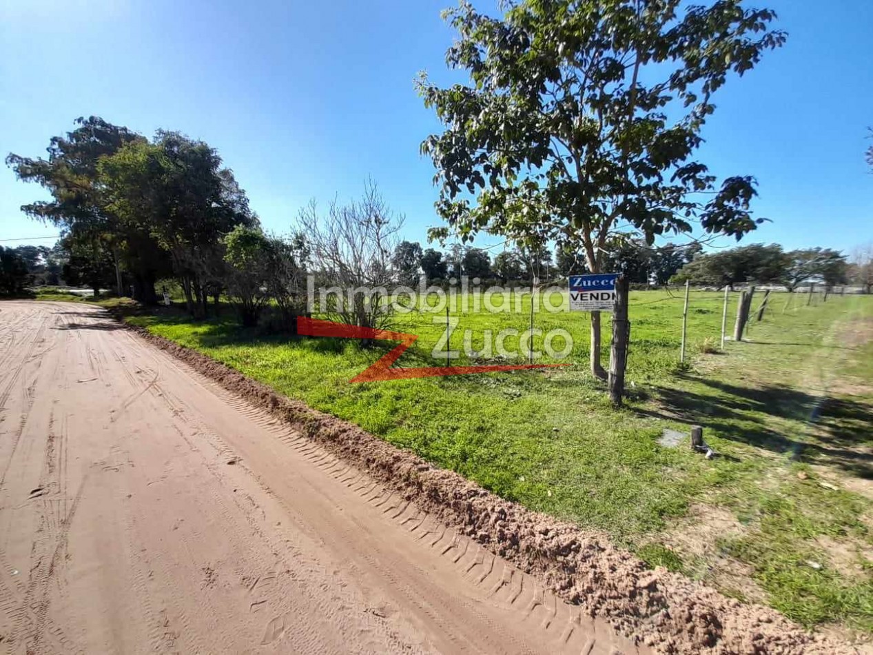 VENTA: 3,14 Ha. DE TIERRA CON CASA Y GALPON - Ref. 1071