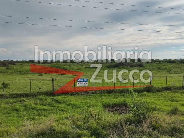 VENTA: CAMPO 23 HA. SOBRE ACCESO A AUTOPISTA EN CORONDA - Ref. 864