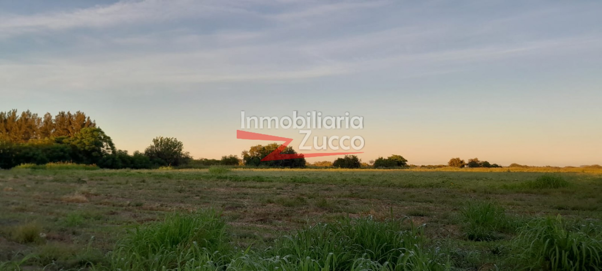 VENTA: 8 HA. DE CAMPO MIXTO EN CORONDA - Ref. 1141