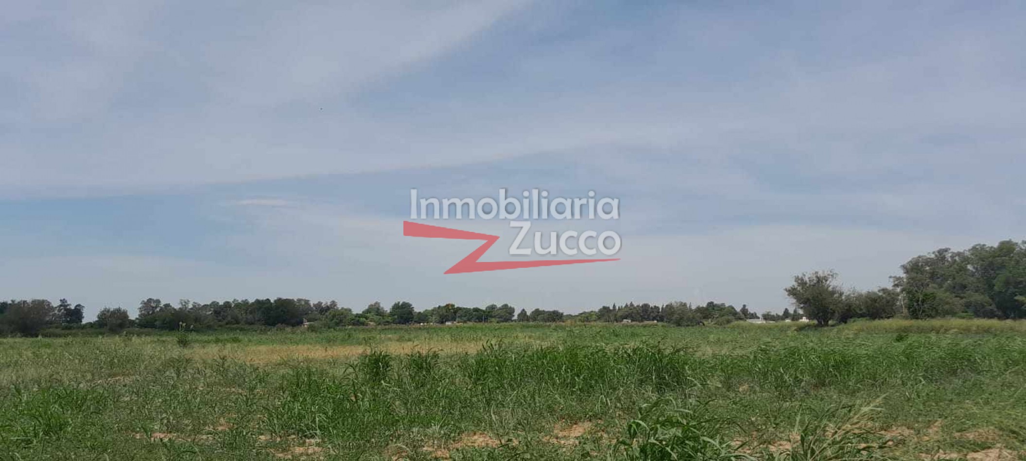 VENTA: LOTE DE 3 HA. EN CORONDA - Ref. 1146