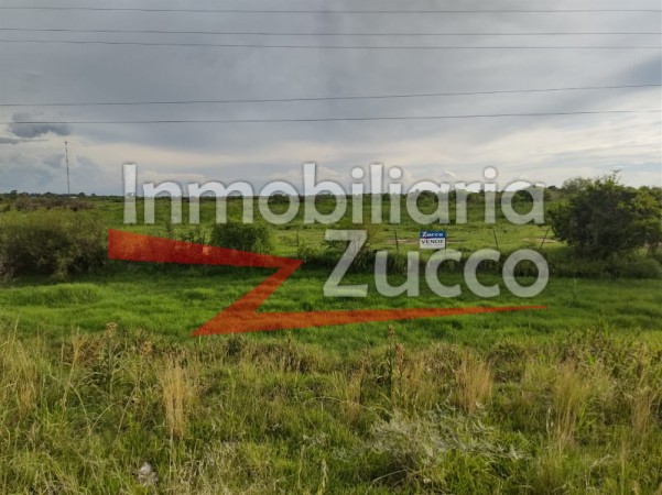 VENTA: CAMPO 23 HA. SOBRE ACCESO A AUTOPISTA EN CORONDA - Ref. 864