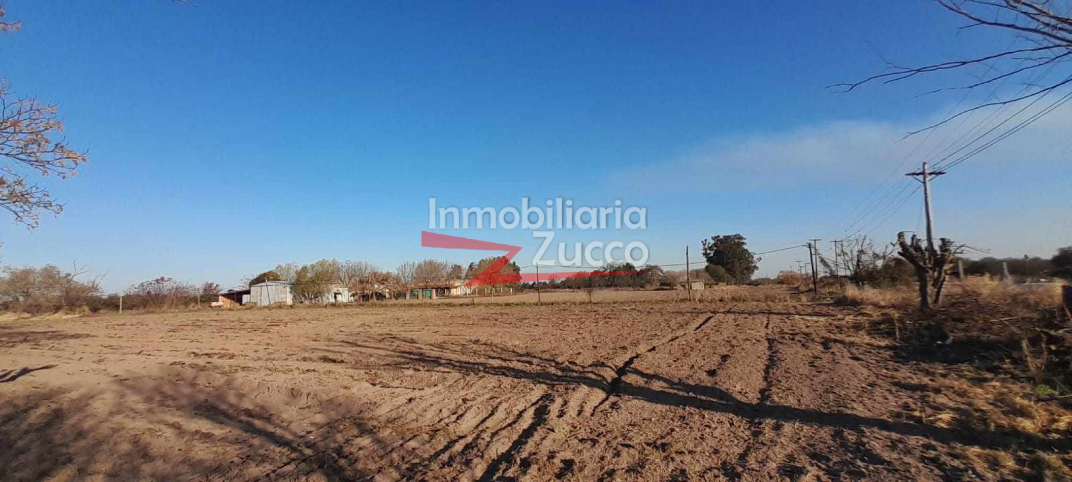 ALQUILO: QUINTA APTA PARA FRUTICULTURA EN CORONDA - Ref. 1199