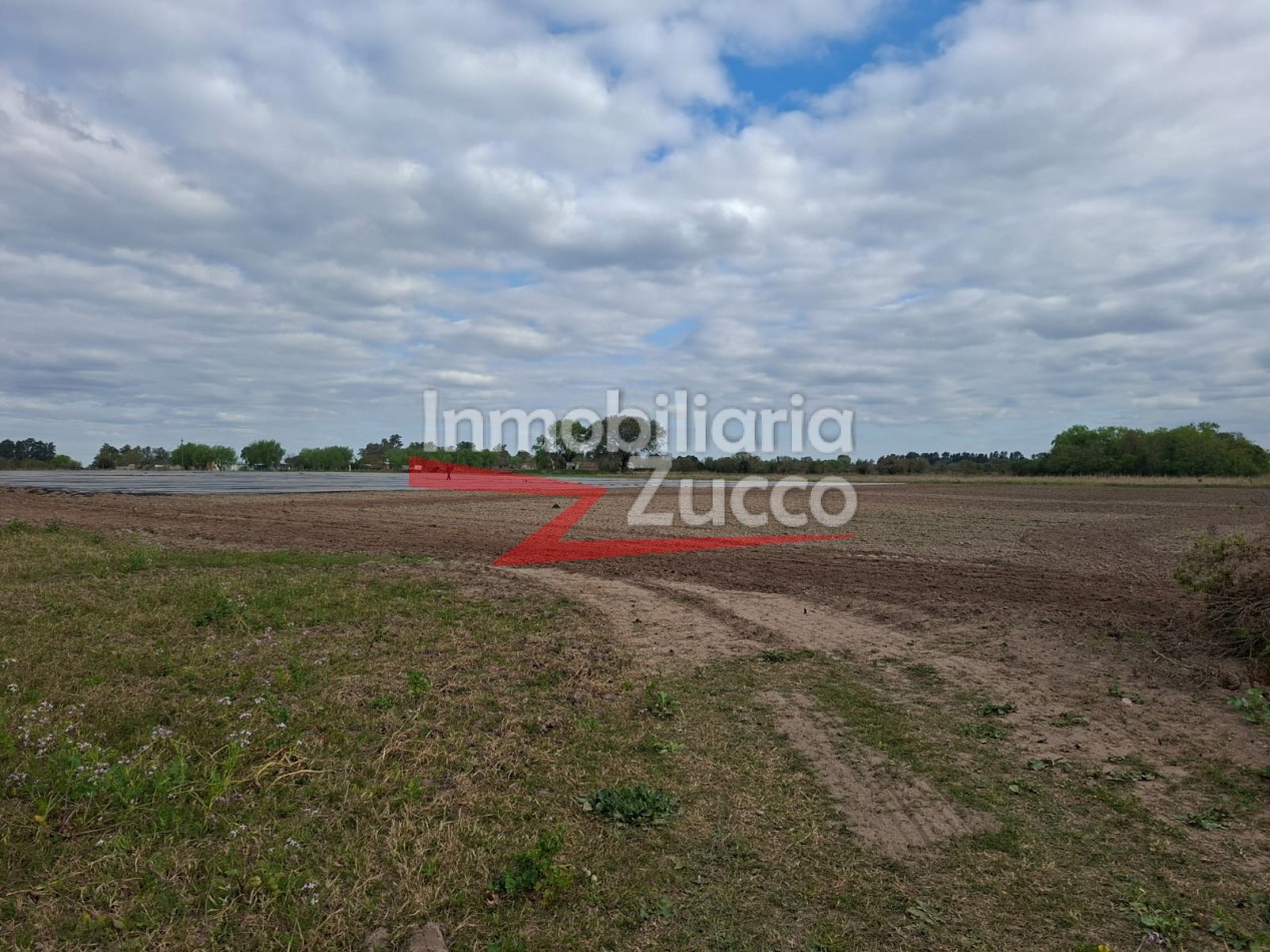ALQUILO: QUINTA EN BARRIO CAIMA