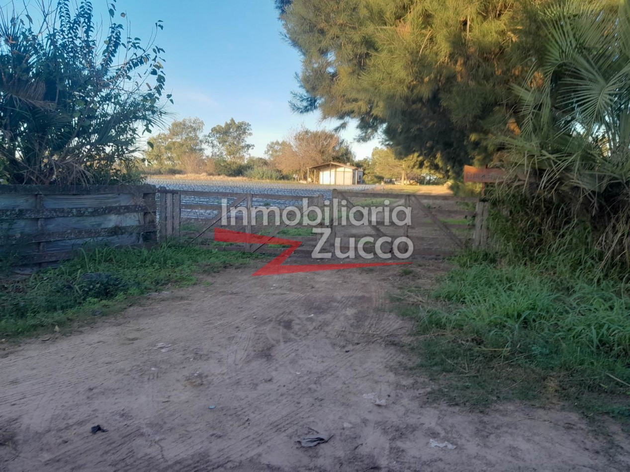 VENTA: QUINTA + CASA + GALPON EN CORONDA - Ref. 1060