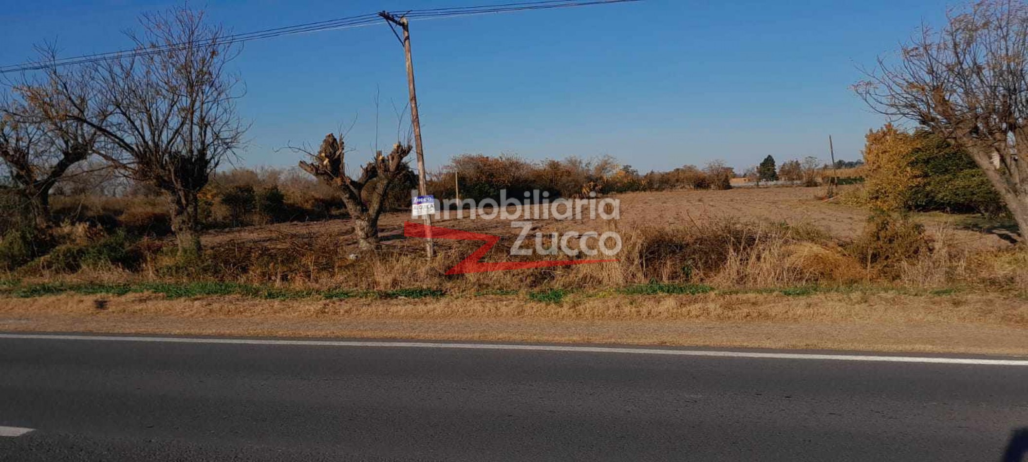 ALQUILO: QUINTA APTA PARA FRUTICULTURA EN CORONDA - Ref. 1199