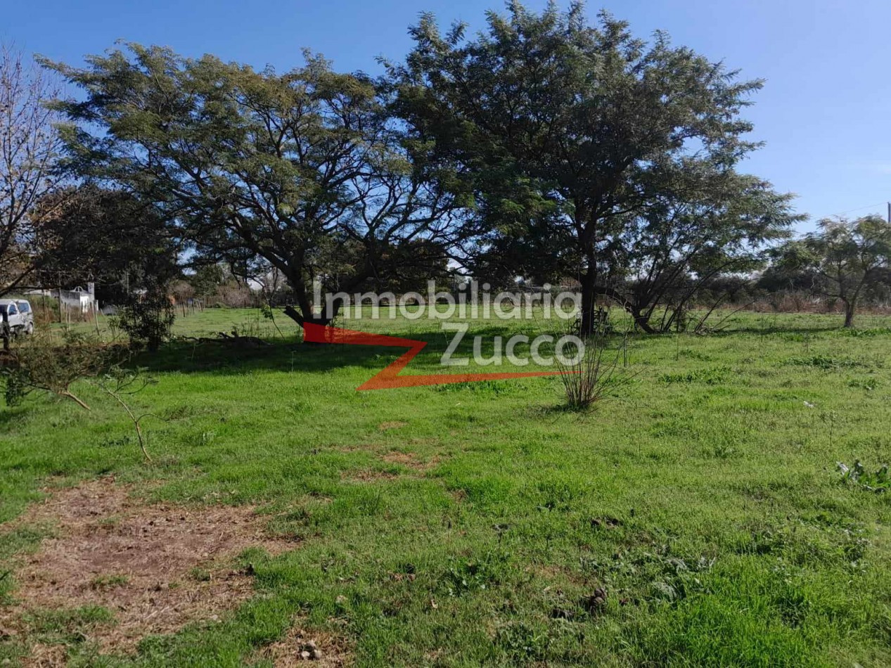 VENTA: 3,14 Ha. DE TIERRA CON CASA Y GALPON - Ref. 1071