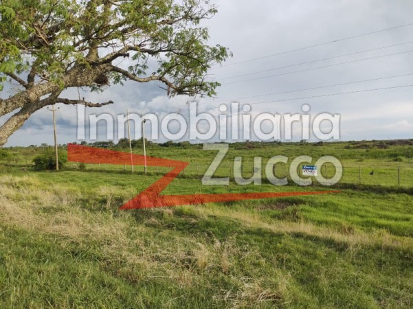 VENTA: CAMPO 23 HA. SOBRE ACCESO A AUTOPISTA EN CORONDA - Ref. 864