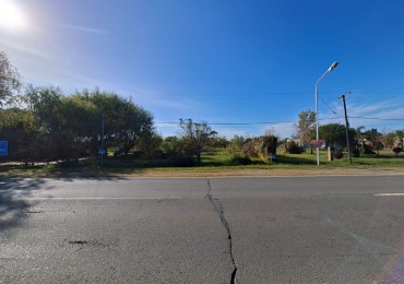 Venta de dos lotes sobre Ruta 11 -  1.100 m2 cada uno- Ref. 1379